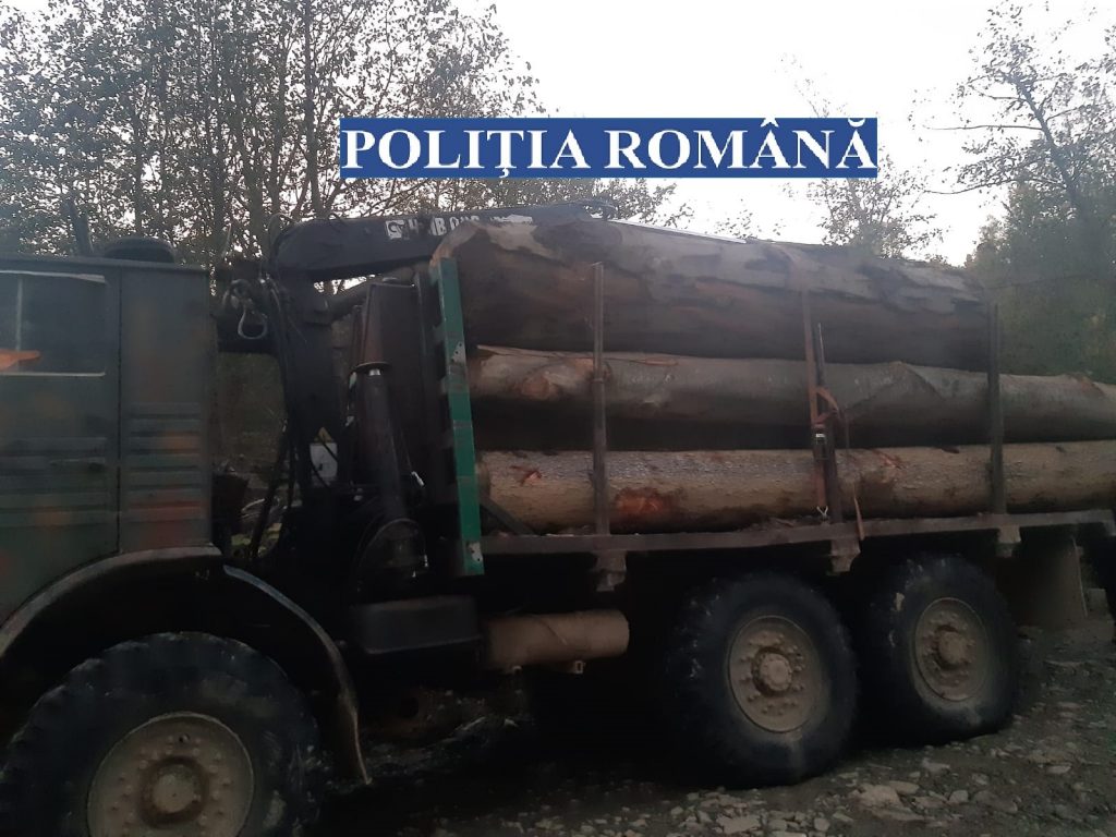 JAF ÎN MUNȚII BUZĂULUI! Camioane încărcate cu lemne, trase pe dreapta de polițiști