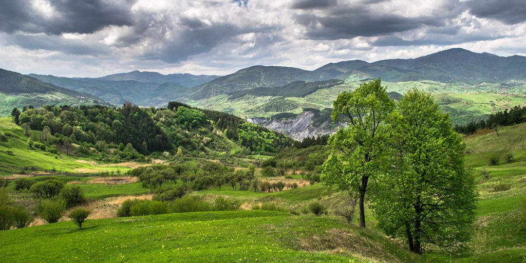 Inițiativă inedită! Ținutul Buzăului, promovat online de elevii Liceului Special pentru Copii cu Deficiențe Auditive