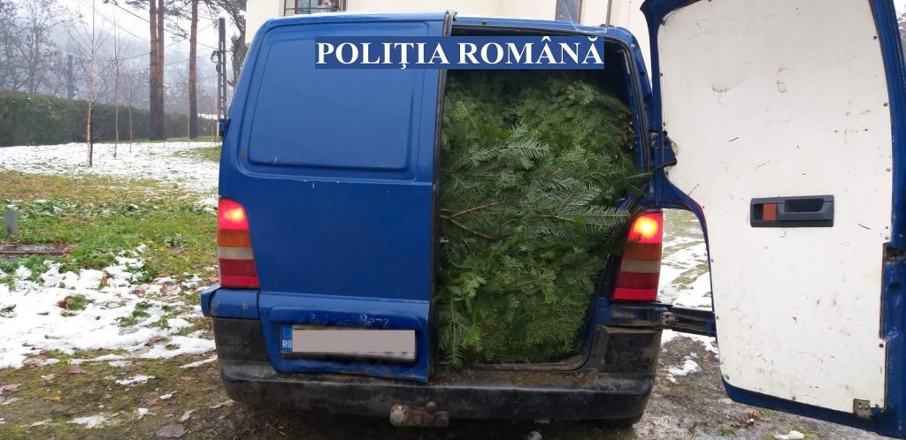 ZONA DE MUNTE, ÎMPÂNZITĂ DE POLIȚIȘTI! Rezultatele acțiunilor oamenilor legii