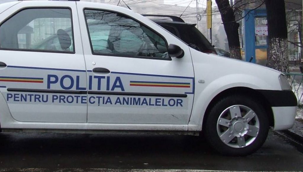 SE FAC ANGAJĂRI LA POLIȚIA ANIMALELOR. Câte posturi sunt la Buzău, ce condiții trebuie îndeplinite