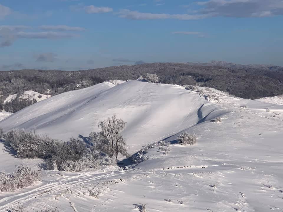 CE IMAGINI! La Valea Salciei, e ca-n povești după zăpada de azi noapte