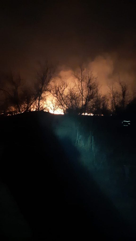 INCENDIU ÎN ZONA VULCANILOR NOROIOȘI. Focul amenință o pădure de pini (FOTO)