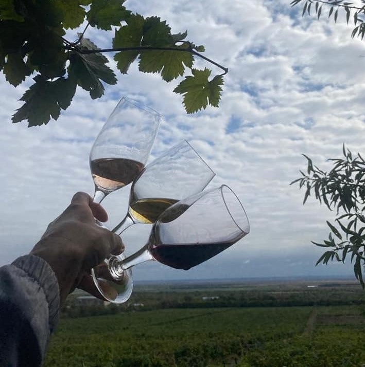 VINURILE DE PIETROASELE, PROMOVATE DUPĂ REȚETA SPANIOLILOR. Parteneriat cu Regiunea Rioja pentru dezvoltarea podgoriilor buzoiene