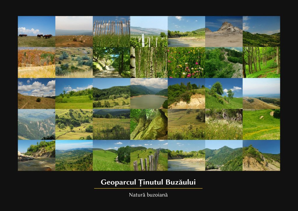 UN VIS APROAPE DE REALIZARE. “ȚINUTUL BUZĂULUI”, la un pas de a primi recunoașterea UNESCO