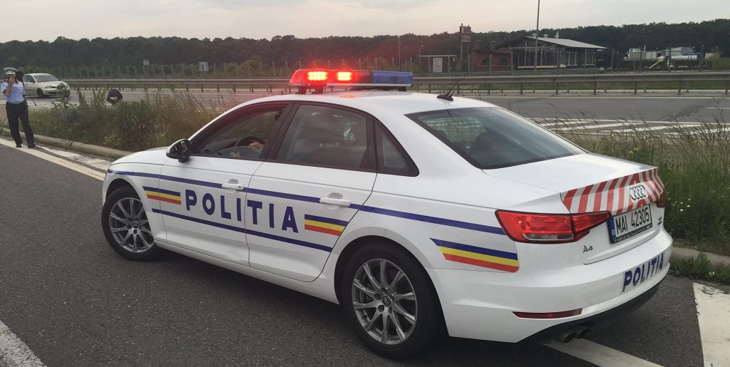 Descoperire macabră: un craniu și oseminte umane, găsite într-o pădure din Lopătari. Ce suspectează autoritățile