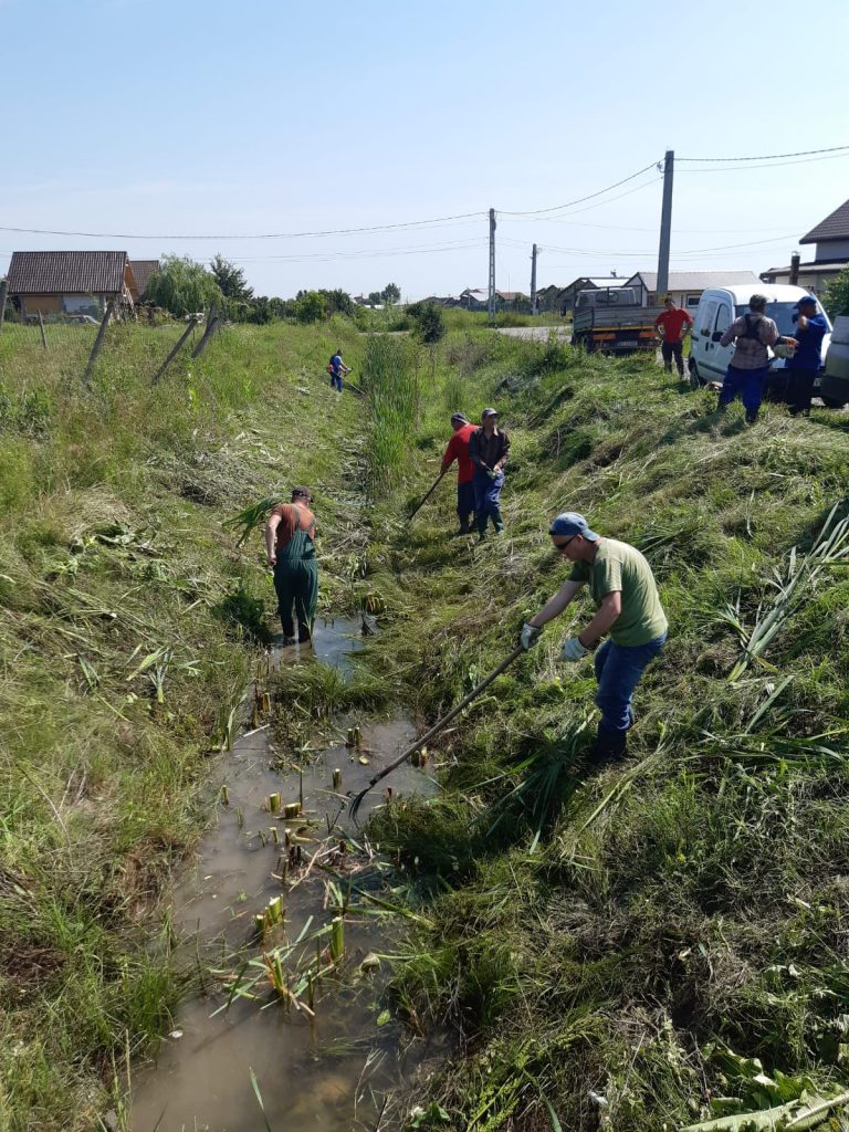 Canal de desecare plin de PET-uri, buruieni și dopuri de pământ! ANIF atrage atenția proprietarilor de terenuri: ”Nu mai aruncați. Este pericol de inundații!