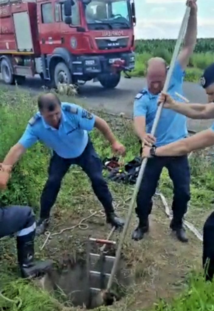 Operațiunea “Bursucul”. Pompierii și jandarmii s-au chinuit 2 ore să salveze un bursuc dintr-un puț adânc de 7 metri