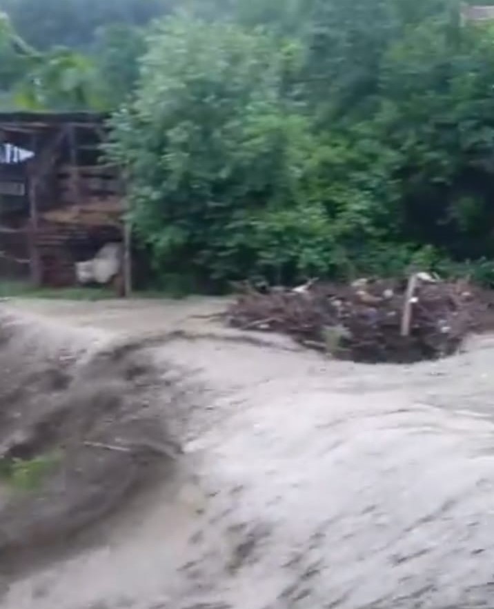 Prăpăd la Colți. Oameni izolați după o vijelie cum n-a mai fost în ultimii ani (VIDEO)