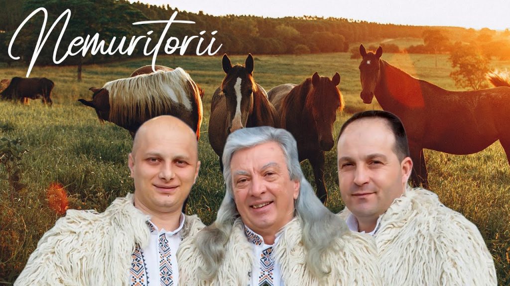 Trupa Nemuritorii împlineşte 14 ani