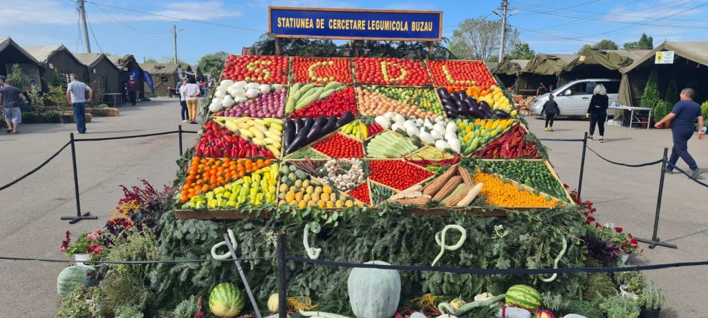 Toamna Buzoiană și-a primit primii clienți! Ce bunătăți găsiți la târgul producătorilor și la ce prețuri. Ziua se încheie cu Taraful de la Clejani
