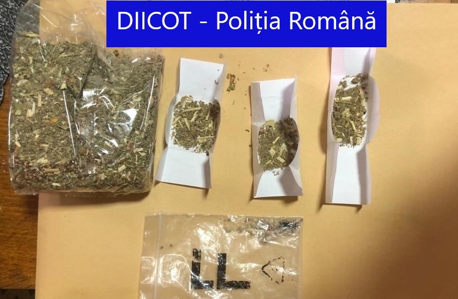 Desant al procurorilor DIICOT la traficanții de droguri. Gruparea era formată din zeci de persoane. Traficanții plasau canabis pe piața din Buzău