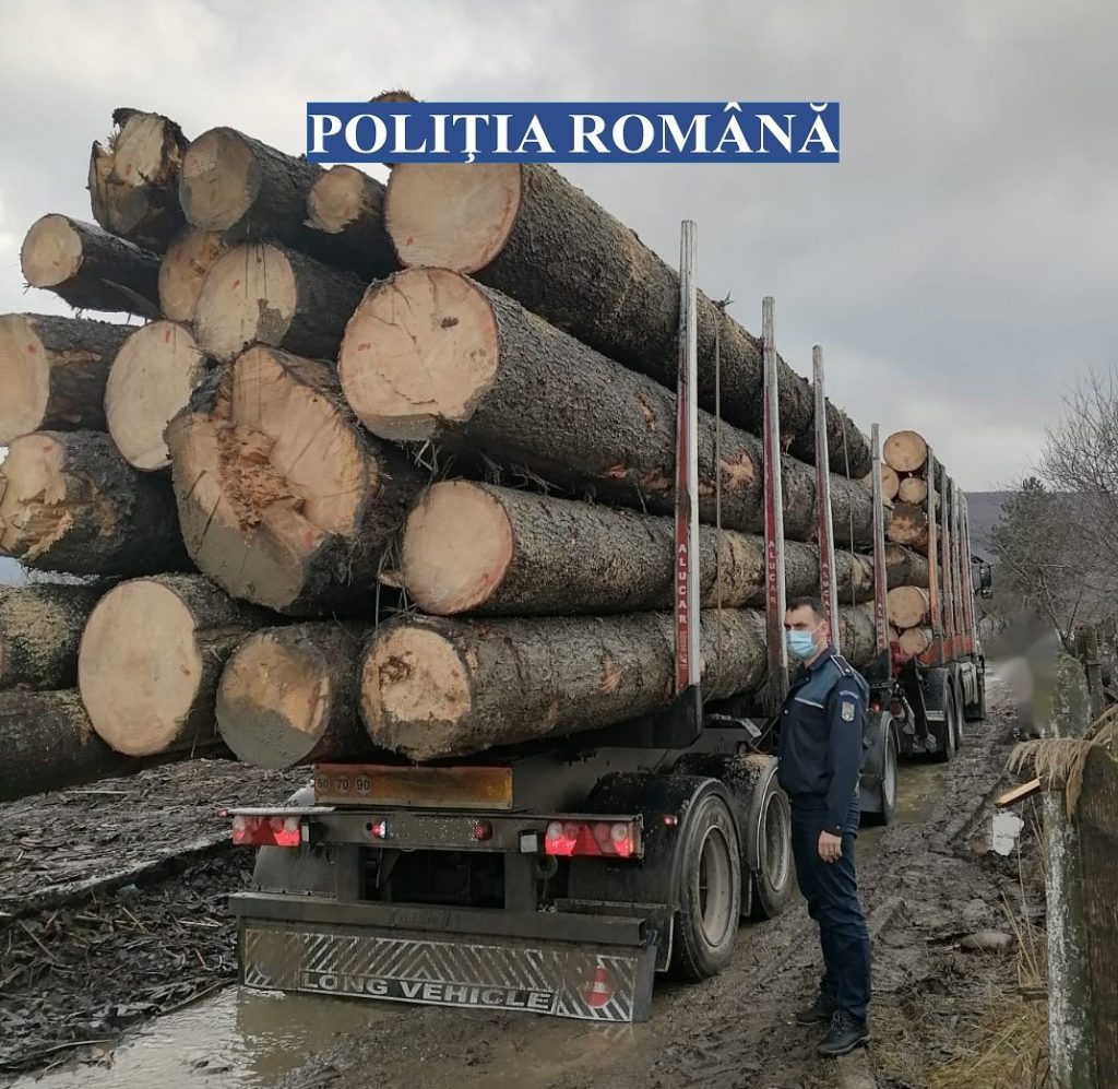 Razii în rândul transportatorilor de lemne. Bilanțul: amenzi de zeci de mii de lei și cantități importante de lemne confiscate