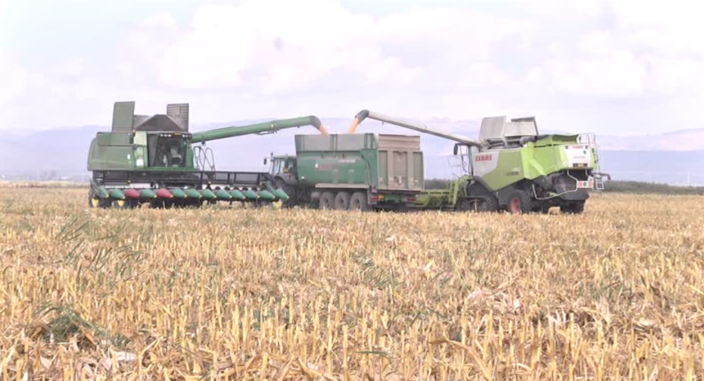 Mihai Afiliu, cel mai mare agricultor din Buzău, despre succes și răsplată. „Eu aduc bogăție statului român! El e primul beneficiar”