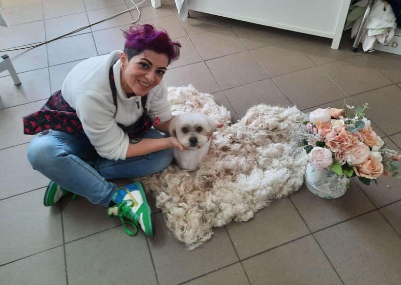Cum a reuşit o tânără din Buzău să transforme dragostea pentru animalele de companie într-un business profitabil: ” E nevoie de mult calm și de multă dragoste pentru orice codiță fluturată și botic umed (FOTO)