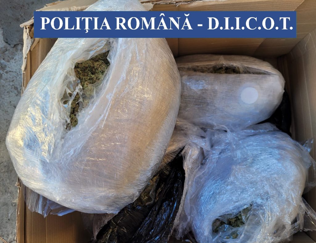 Captură importantă de droguri. Peste 10 kg de canabis descoperite de polițiștii din Buzău (VIDEO)