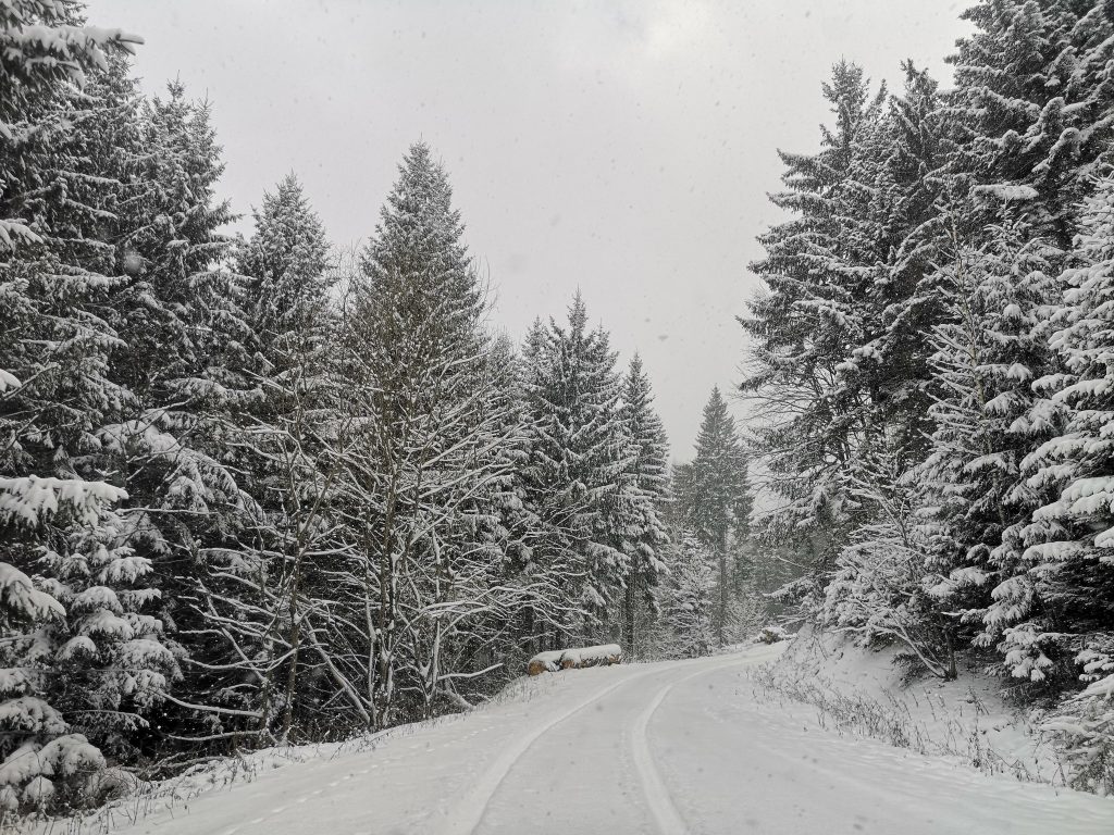 Mantie albă peste zona de munte a Buzăului. Se simte că vine Crăciunul. Peisaje de vis (FOTO)