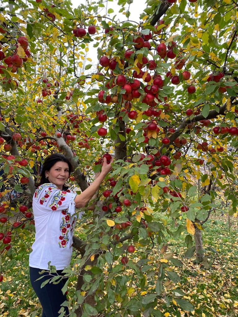 Singurul producător din Buzău de banane, mere elvețiene și anghinare sălbatică! ”Am vrut să am în grădina mea tot ce găsește în supermarket”