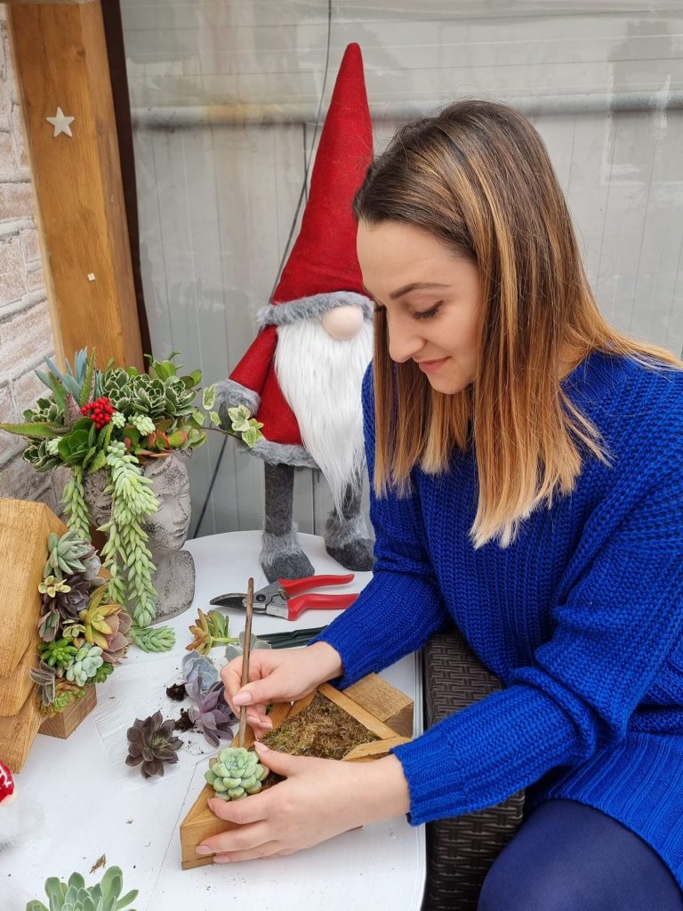 Bradul din plante suculente, cadoul inedit în decembrie! Ideea aparține unei absolvente de Horticultură care și-a transformat proiectul de licență într-o afacere profitabilă (foto+video)