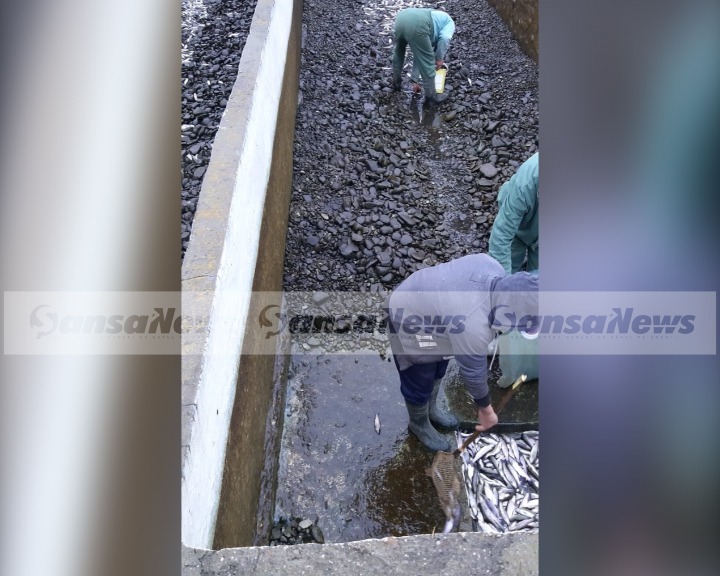 Ce se întâmplă cu singura păstrăvărie din Buzău la mai bine de jumătate de an de când a fost închisă de septicemia hemoragică