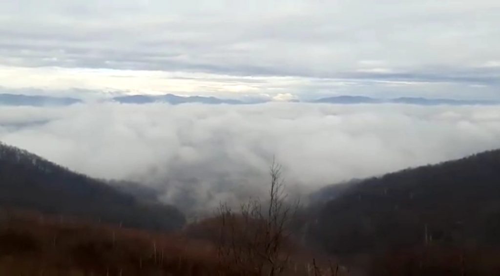 Imagini care îți taie respirația! Trasee de hiking în Ținutul Buzăului. Turiștii, invitați să meargă ”Pe urmele animalelor sălbatice” și să descopere legenda lui Arbănaș