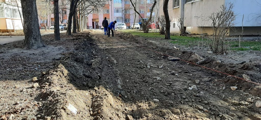 Discuții încinse pe gardul viu care se scoate din fața blocurilor. Director Urbis: ”Am făcut un fetiș din gardul viu!”. Primarul Toma: ”Motivul e că au devenit paravan pentru gunoaie”