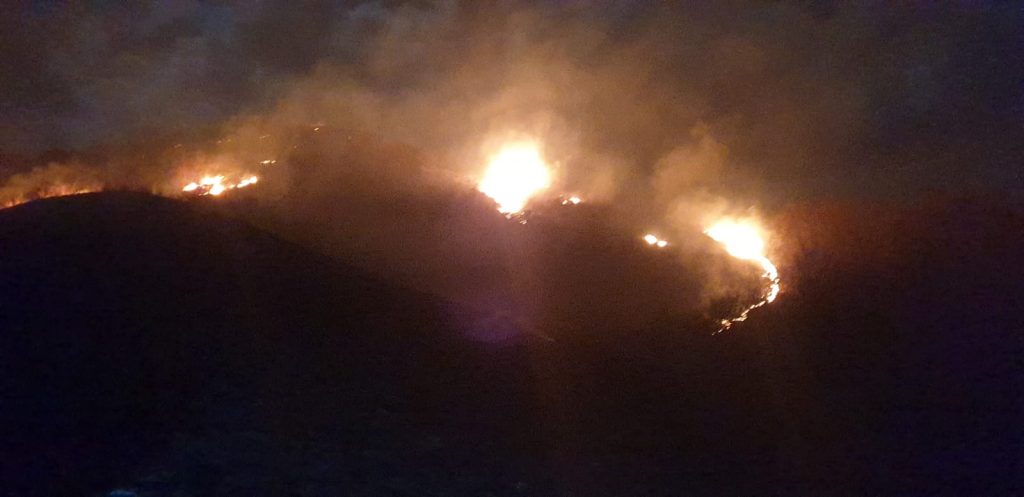 Incendiile de vegetație uscată fac moarte de om! O femeie a fost găsită carbonizată, la Mărgăritești