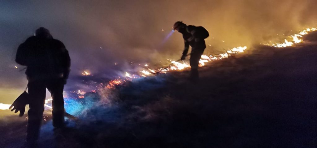(VIDEO) Incendiile de vegetație, un fenomen. Pompierii se pregătesc zi de zi să facă față valului de arderi necontrolate