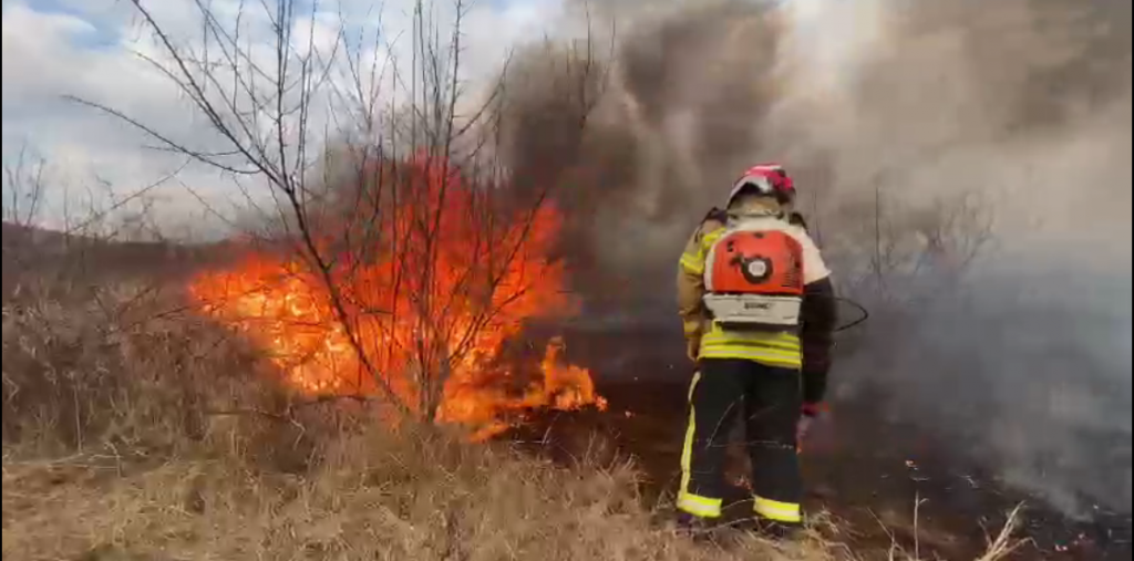 “Piromanii” au luat-o de la capăt. Zeci de hectare au fost mistuite, spre disperarea pompierilor