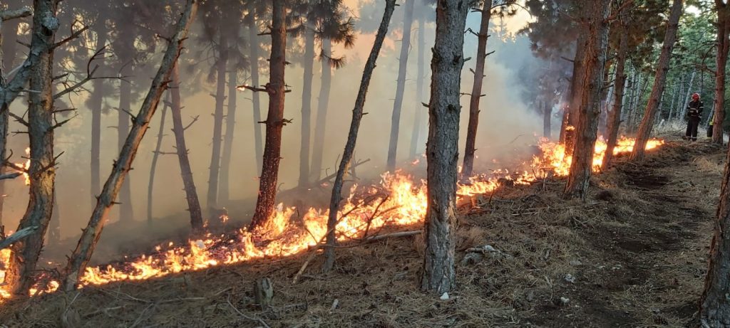 Buzăul, locul patru pe țară la incendii necontrolate. DSU, felicitări pentru pompierii buzoieni