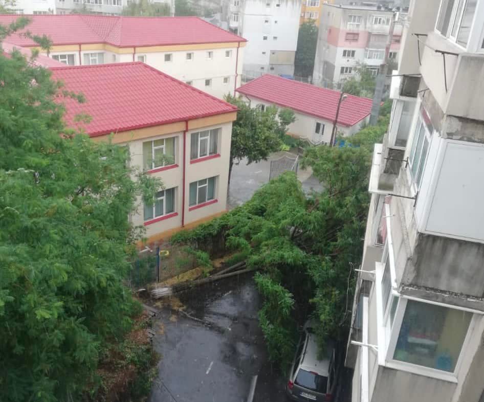 (FOTO) O ploaie torențială de câteva minute a creat probleme la Râmnicu Sărat. Crengi și copaci, la pământ