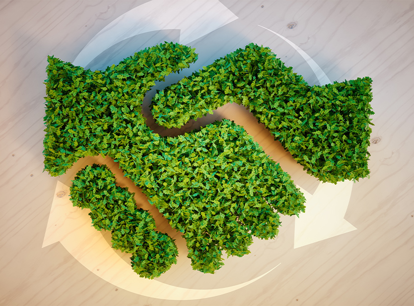 (P) Start-up-urile cu potențial de inovație pentru economia circulată, susținute de Green Group