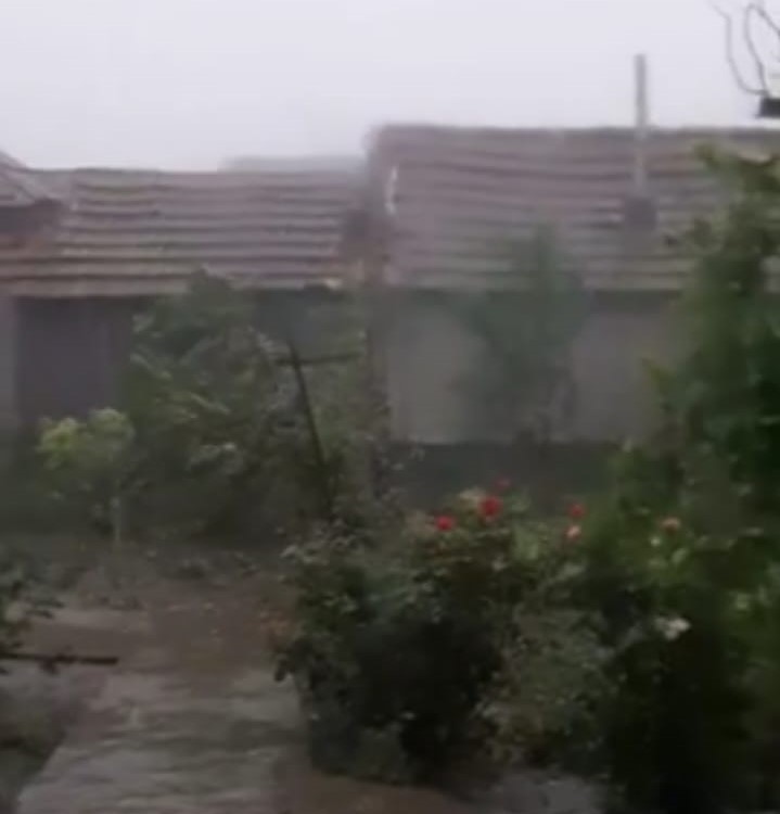 Arbori căzuți pe șosea și pe case, acoperișuri smulse, la Padina. Efectele furtunii se resimt și astăzi