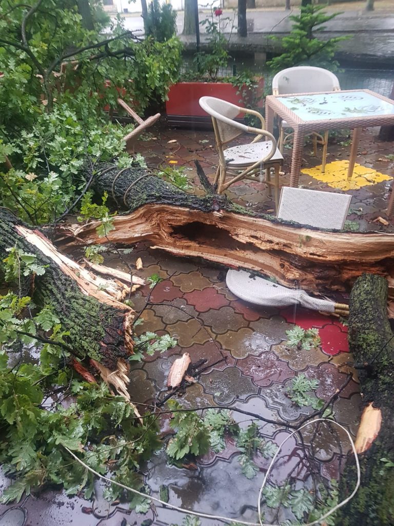 (FOTO&VIDEO) Momente de groază în Crâng. Un stejar de sute de ani a fost lovit de trăsnet sub privirile a zeci de buzoieni