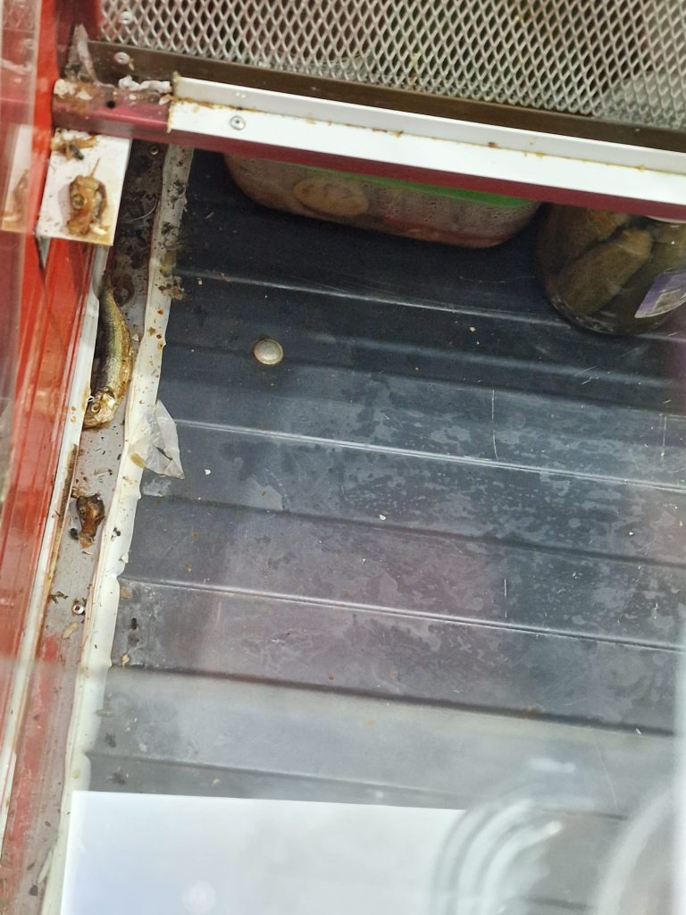 (Foto& Video) Au curs amenzile în Piața Centrală. Inspectorii OPC au făcut un control fulger, iar neregulile găsite i-au îngrozit