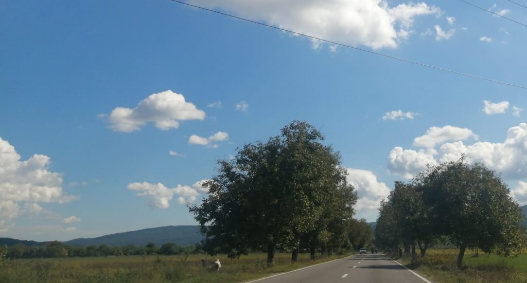 Motocicletă răsturnată pe DN 10, trafic dirijat