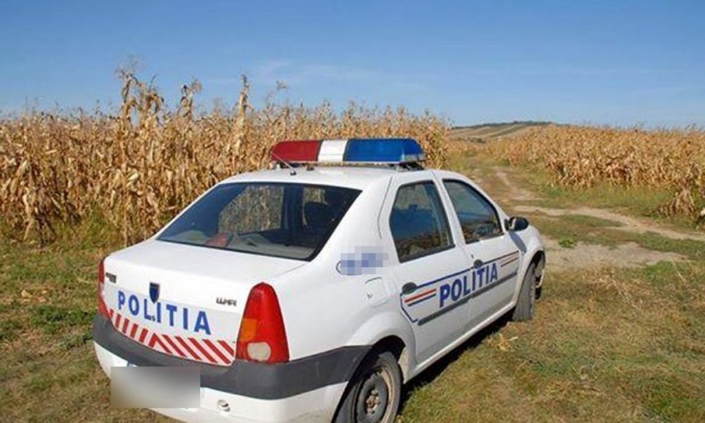 O mașină electrică închiriată a ajuns bucăți pe câmp, în Buzău. Ce s-a întâmplat de fapt