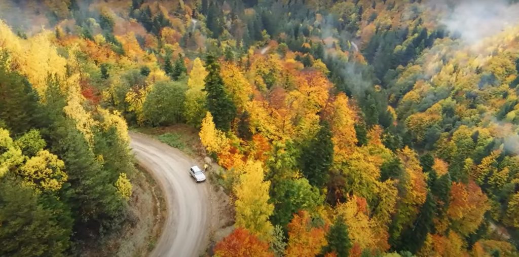 (VIDEO) Imagini care-ți taie răsuflarea! Nici n-ai zice să sunt la doi pași de noi!