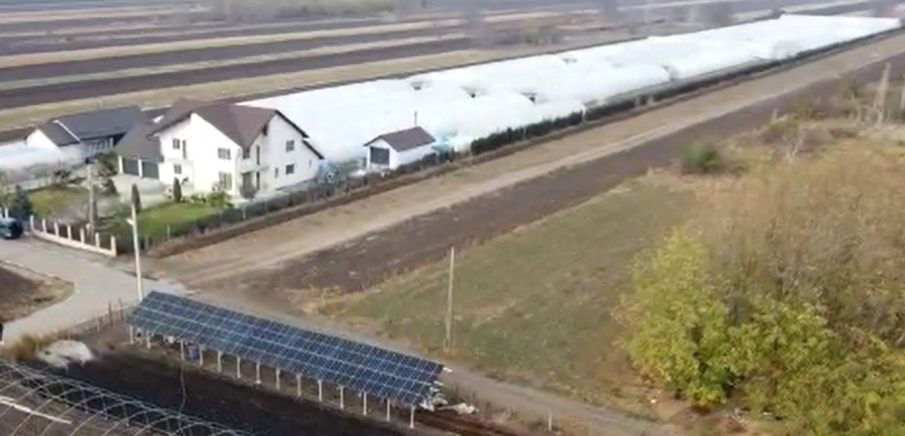 (Video) Premieră în agricultura buzoiană: Un legumicultor și-a amenajat propriul parc fotovoltaic