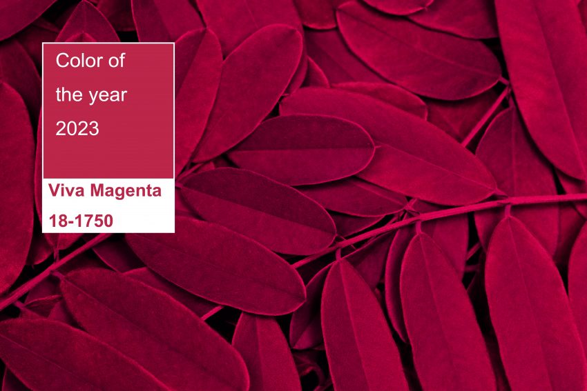 Viva Magenta, culoarea anului 2023