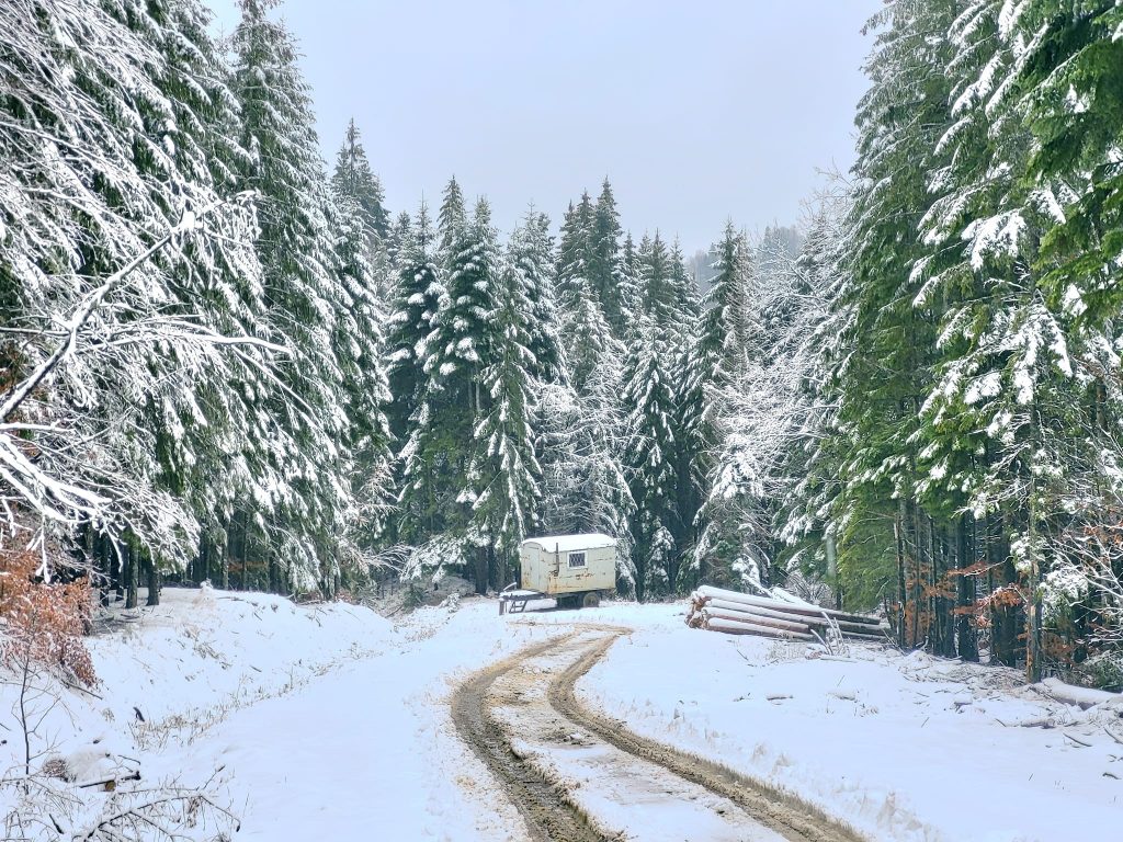 (FOTO&VIDEO) Prima zăpadă în Buzău din acest sezon. Unde a nins
