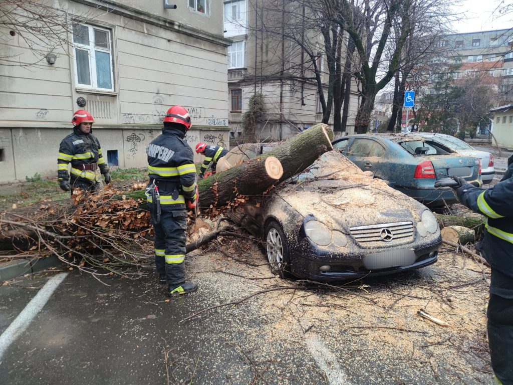 Patru dintr-o lovitură! Un  copac doborât de vânt a distrus mașinile dintr-o parcare