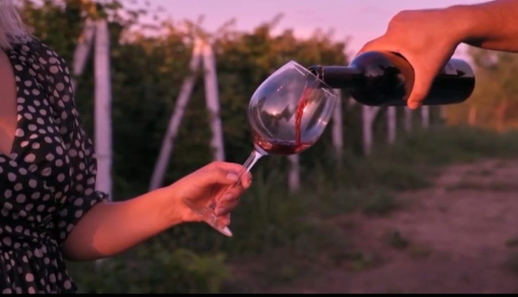 (Video) Un altfel de vin. Licoarea de culoare rubinie este produsă la Unguriu
