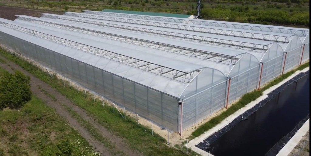 (VIDEO) Producătorii agricoli din Buzău așteaptă asta de ani buni! Măsuri pentru protejarea și promovarea produselor tradiționale