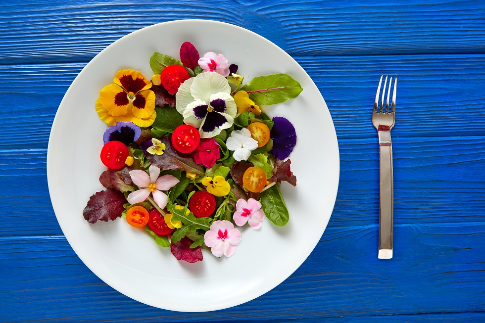 (Video) Florile cu care îți poți decora grădina dar și preparatele culinare. Răsadurile costă 2,5 lei