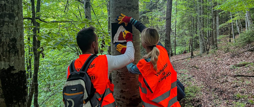 (FOTO)  Traseele turistice din Munții Buzăului, marcate de voluntarii de la Asociația Montană Carpați