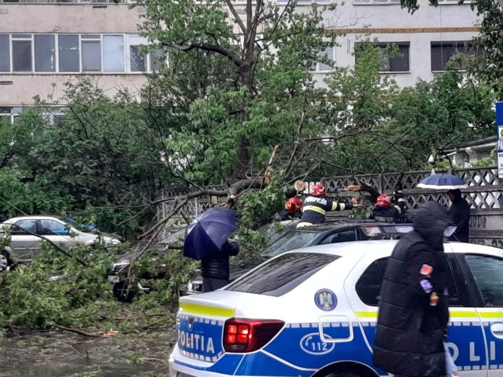 (Video) Mașini distruse de un copac rupt. Echipele de intervenție la fața locului