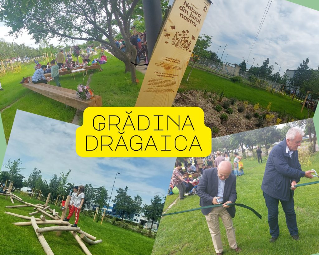 (Video) Parc ecologic, inaugurat în zona industrială a municipiului Buzău! Are o grădină de secetă și mobilier din materiale reciclabile