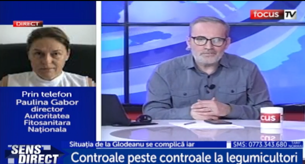 Noi analize pe probe prelevate de la roșiile din Glodeanu Sărat. Ce se întâmplă cu castraveții din solariile producătorilor