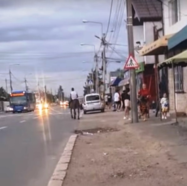 VIDEO: Un buzoian a pornit călare prin oraș. Reacția trecătorilor face cât o mie de cuvinte