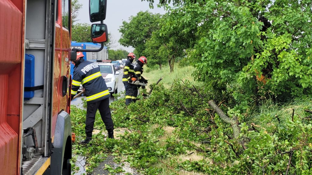 (Foto+video) Furtună la doi pași de oraș. Copac doborât pe șosea.